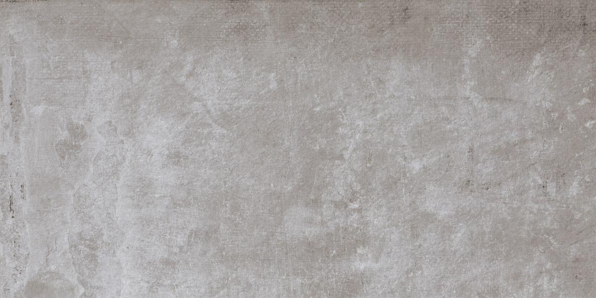 459025-Plant1.jpg