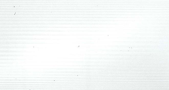305637.jpg